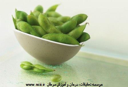 جایگزینی با سویا