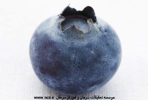 کاربرد قره قاط ( Blueberry) در مبارزه با سرطان