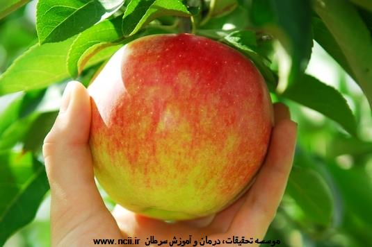 به‌جای سیگار چیز دیگری در دهان خود بگذارید