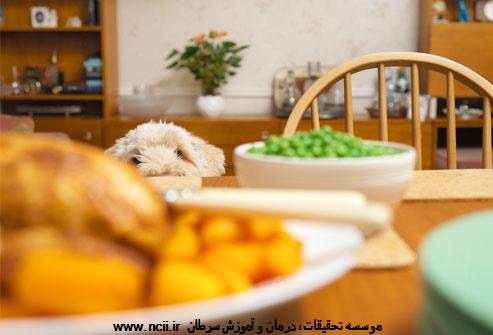 غذا در منزل  صرف شود