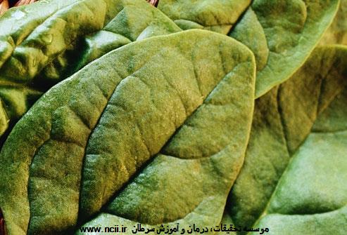 سبزیجات برگ‌دار به رنگ سبز تیره